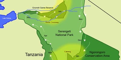 Kort over tanzania migration 